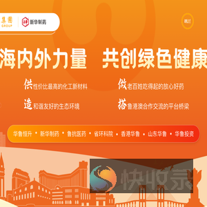山东新华制药股份有限公司