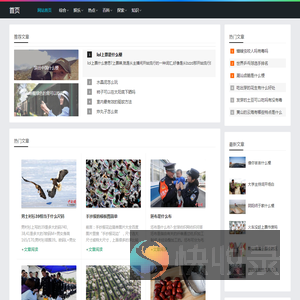 所向无前网