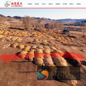 牡丹江市双悦农业有限公司官网,双悦2号,双悦8号,玉米种子,双悦2号玉米种子,双悦8号玉米种子