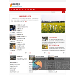 悬崖绝壁网