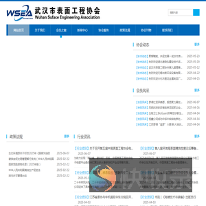 武汉市表面工程协会