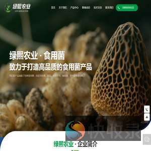 绿熙农业羊肚菌