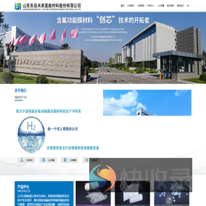 山东东岳未来氢能材料股份有限公司