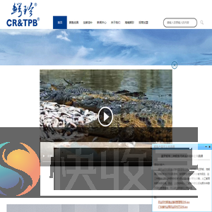鳄珍