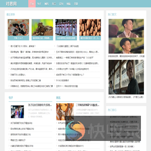 对思网