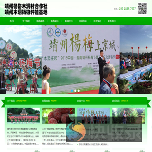 靖州杨梅