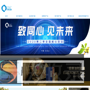山西琪尔康翅果生物制品有限公司