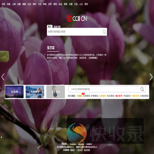 cc0图片网（cc0.cn）