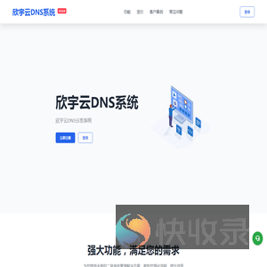 欣宇云DNS系统