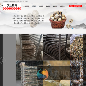鹌鹑养殖场,鹌鹑苗