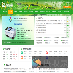 博朗咨询