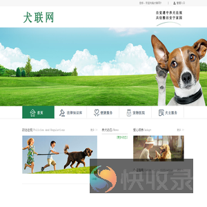 犬联网
