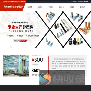 山东冷镦异形件