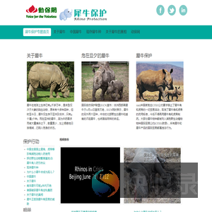 动保网