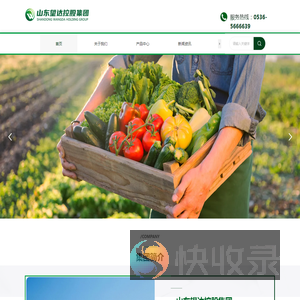 山东望达控股集团