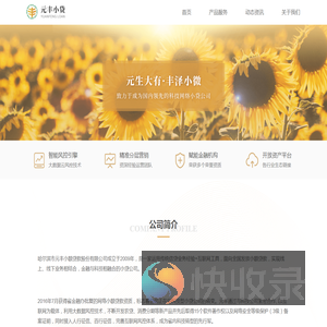 元丰小贷官网