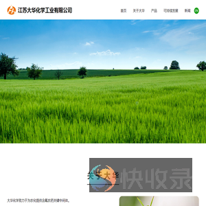 江苏大华化学工业有限公司