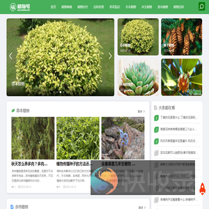 植物号