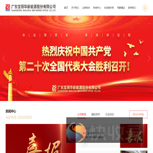 广东宝丽华新能源股份有限公司