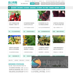 福建东魁杨梅苗批发