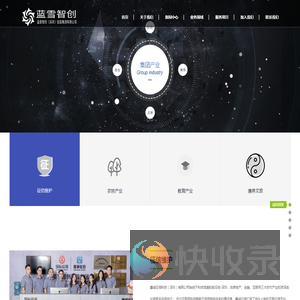 蓝雪智创（深圳）控股集团有限公司