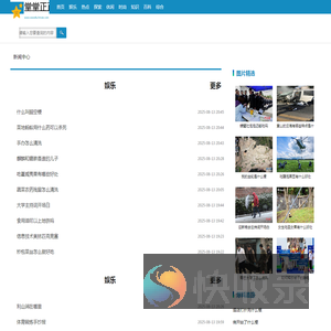 堂堂正正网