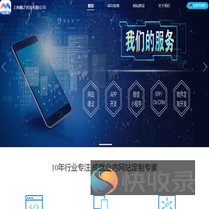 网页定制专家