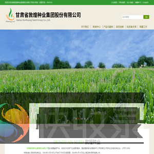 敦煌种业