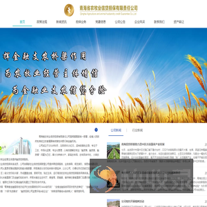 青海省农牧业信贷担保有限责任公司