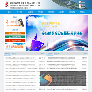 振湘医药电子商务网