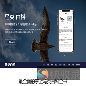鸟类百科