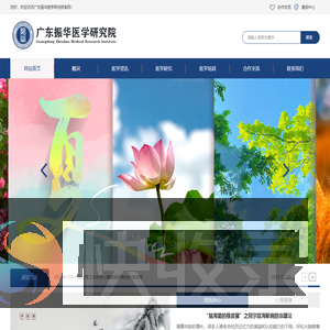 广东振华医学研究院