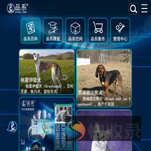 品系