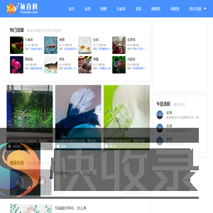 鱼百科