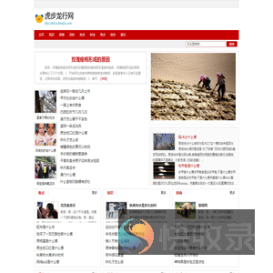 虎步龙行网