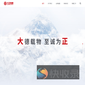 大型投资管理型公司