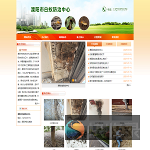 溧阳白蚁防治