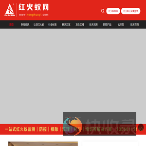 红火蚁网