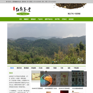 纳新茶业