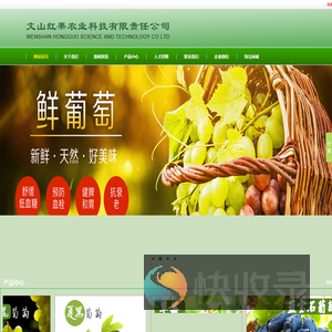 文山红果农业科技有限责任公司｜红果农业｜红果葡萄｜葡萄销售｜紫葡萄