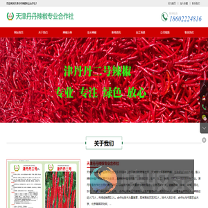 天津丹丹辣椒专业合作社
