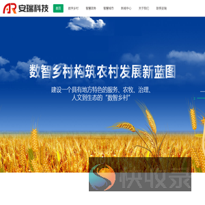 青岛网站开发