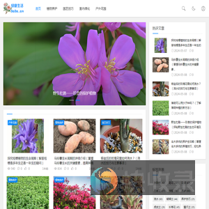 绿意生活