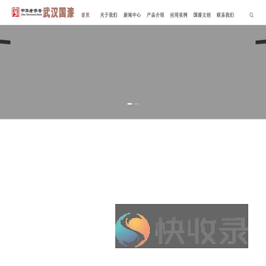 武汉市国漆有限公司