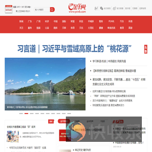 金羊网
