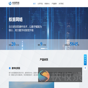蚁首网络