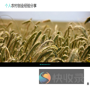 个人农村创业经验分享