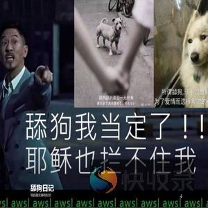 舔狗日记丨我的舔狗记录