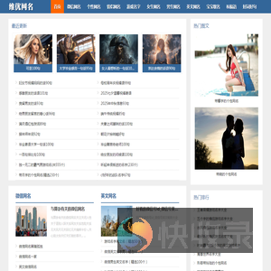 维优网名