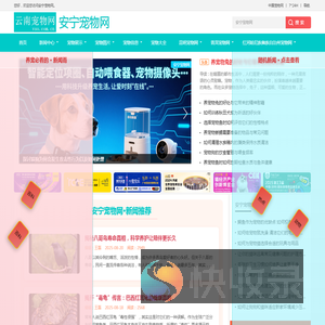 中宠网